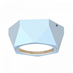 Накладной светильник Favourite Fantum 4669-1U 250_100_1770648