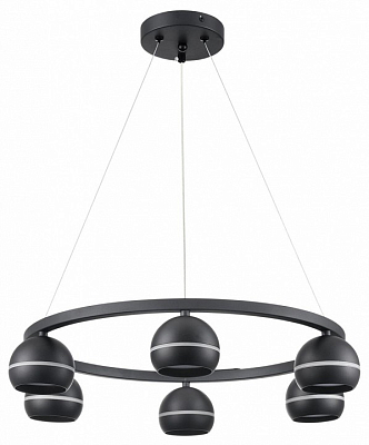 Подвесная люстра Lumion Luazana 8242/6 400_400_1866935