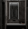 Зеркало Modern 600x1100 100_100_2911578