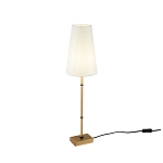 Настольный светильник Maytoni H001TL-01BS 250_100_Array