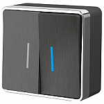 Выключатель двухклавишный с подсветкой Werkel Gallant (графит рифленый) W5020104 250_100_Array