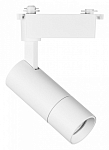 Светильник на штанге Lightstar Volta 229146 250_100_1715333