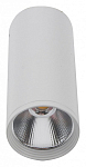 Накладной светильник Kink Light Фабио 08570-12,01 250_100_Array