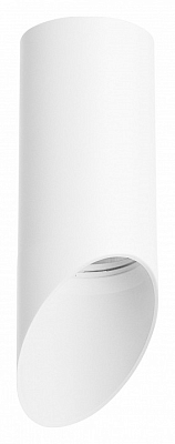 Накладной светильник Lightstar Rullo R43636 400_400_2448374