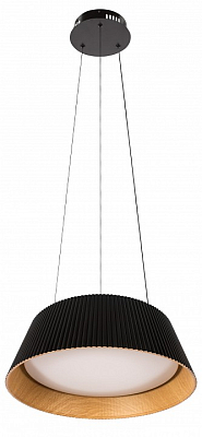 Подвесной светильник Loft it Evans 10224P Black 400_400_1854287