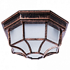 Накладной светильник Arte Lamp Pegasus A3100PL-1AC 100_100_2444310