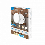 Встраиваемый светильник Apeyron Electrics  06-108 250_100_3145770