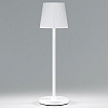 Настольная лампа декоративная Elektrostandard Mist a063928 100_100_2241849