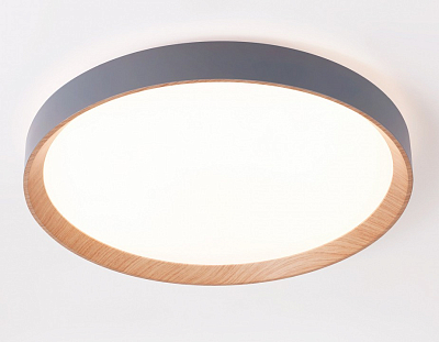 Накладной светильник Ambrella Light FZ FZ1322 400_400_2021291
