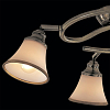 Спот Citilux Прованс CL511143 100_100_1684739