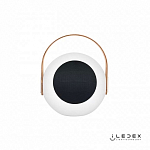 Колонка звуковая iLedex Giggle EYS0970-CH WH 250_100_1991132