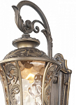 Светильник на штанге Favourite Luxus 1495-1W 250_100_2477666