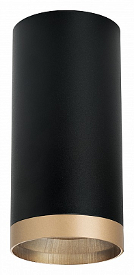 Накладной светильник Lightstar Rullo R6487490 400_400_2448447