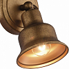 Спот Favourite Clochette 2024-1W 100_100_578450