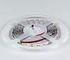 Лента светодиодная DesignLed DSG560 00-00000513 100_100_3101057