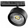 Светильник на штанге Lightstar Alta Pro A5747TRIAC 100_100_2869402