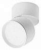 Накладной светильник Lightstar Acuto 215836 100_100_3155518