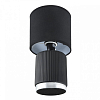 Настольная лампа декоративная Lumion KAISA 8179/1T 100_100_1867315