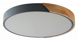 Накладной светильник Zortes Alberro ZRS.01280.90 250_100_3162059