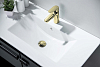 AQ6002PG сливной набор для раковины Push-open с переливом, крышка круглая, полир. золото 100_100_2413806