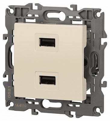 Розетка 2хUSB type A без рамки Эра Эра Elegance 14-4110-02 400_400_2400879