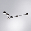 Потолочная люстра Arte Lamp TRACY A1527PL-5BK 100_100_2840090