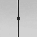 Светильник на штанге Eurosvet Pacific 50255/1 черный 250_100_3151184
