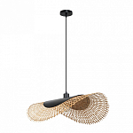 Подвесной светильник Arte Lamp Woodstock A7063SP-1BK 250_100_1826564