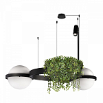 Подвесной светильник Loft it Jardin 10121/2 250_100_1852956
