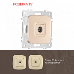 ТВ-розетка без рамки Arte Milano am-205 205.43-1.shampan 250_100_2167072