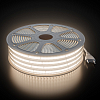 Лента светодиодная Apeyron Electrics  10-144 100_100_3098880