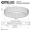 Накладной светильник Citilux PALANT CL325142 100_100_3086087