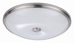 Накладной светильник Odeon Light Pelow 4957/5 250_100_Array