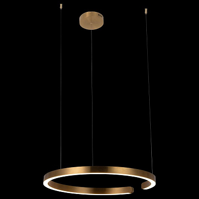 Подвесной светильник Loft it Ring 10013L 400_400_1845712
