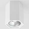 Накладной светильник Elektrostandard 25036/LED a055856 100_100_2445825