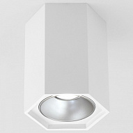 Накладной светильник Elektrostandard 25036/LED a055856 500_191_2445825
