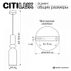 Подвесной светильник Citilux TENDY CL244011 100_100_2833466