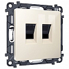 Розетка двойная Ethernet RJ-45 без рамки Ambrella Volt ALFA MA312110 100_100_2307982