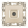 ТВ-розетка без рамки Arte Milano am-217 217.43-1.shampan 100_100_2302762