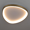 Накладной светильник Citilux GENKA SMART CL756A142 100_100_3086917