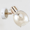 Спот Escada Phantom 1137/1A 100_100_1942105