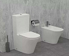 UJAB102-00 RODIN+ Чаша напольного унитаза с креплениями RU 100_100_2418343