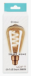 Лампа светодиодная с управлением через Wi-Fi Zetton Smart Wi-Fi Bulb E27 4Вт 2700K ZTSHLBLWWE271RU 250_100_1954560