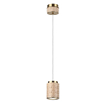 Подвесной светильник Odeon Light L-VISION 5453/5L 250_100_3098343