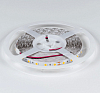 Лента светодиодная DesignLed DSG560 00-00000521 100_100_3101082