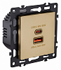 Розетка 2хUSB type A и C без рамки Kollinger Asthetik AS-024GD 100_100_3118736