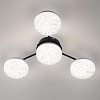Потолочная люстра Lumion Didana 8236/4CL 100_100_1866767