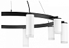 Подвесная люстра Lightstar Rullo LR0203658650 100_100_1718699