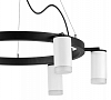 Подвесная люстра Lightstar Rullo LR0163660 100_100_1718111