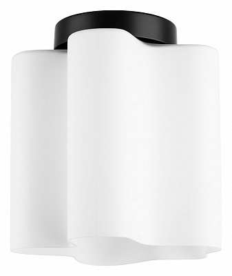 Накладной светильник Lightstar Nubi 802017 400_400_2448260